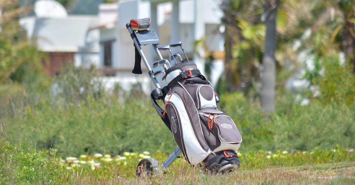 Golf bag with clubs on a lush course under clear skies, perfect for leisure and sport.