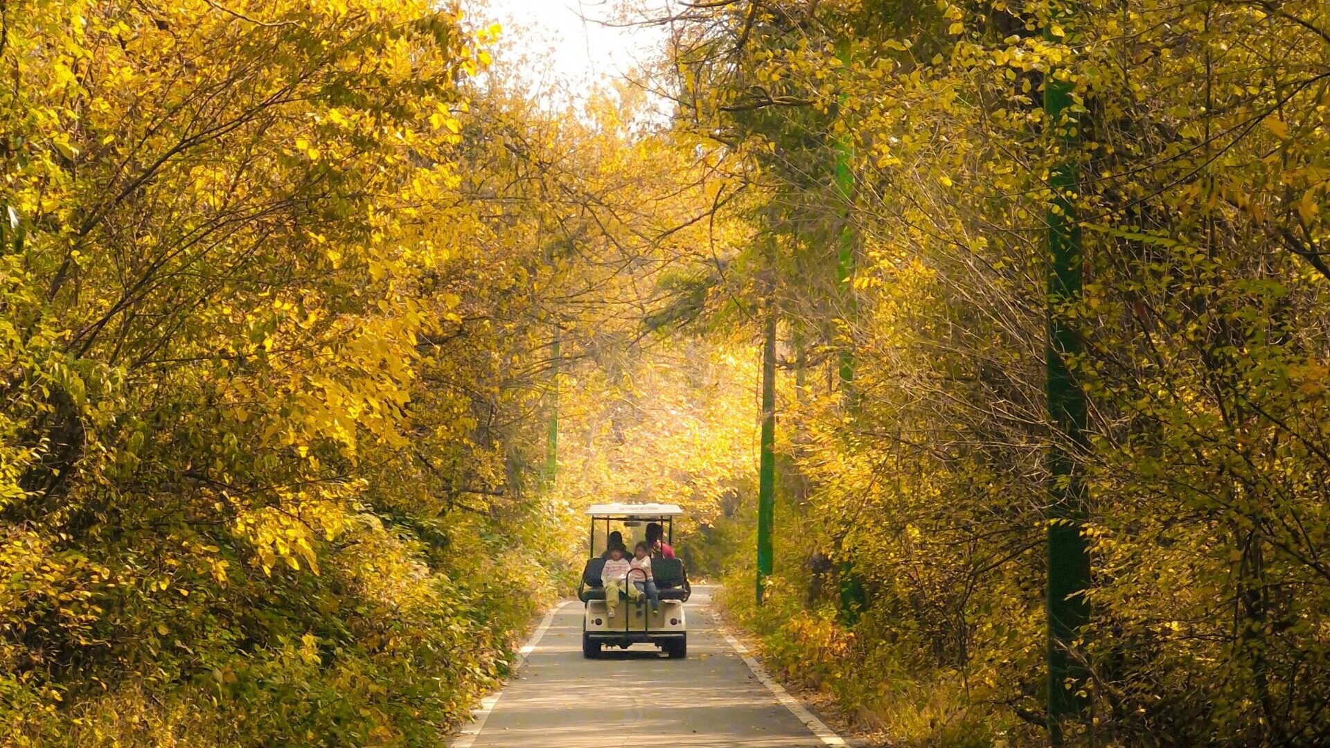 golf pushcart