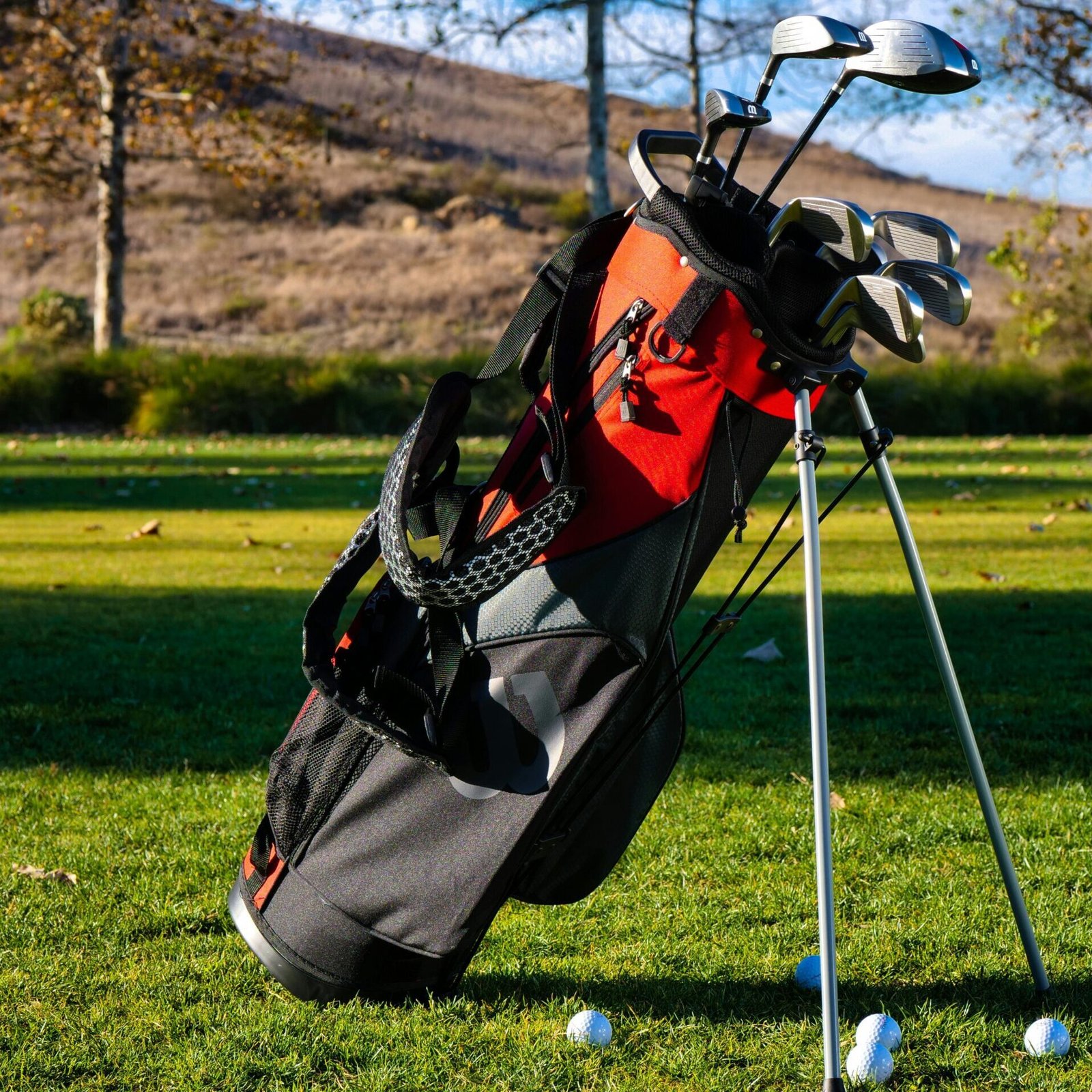 Red and Black Golf Bag on Grass