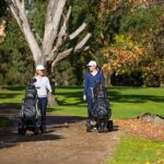 MGI Zip Navigator Push Cart