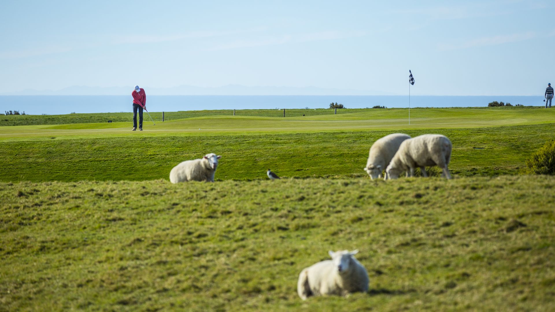Cape Kidnappers Golf Course